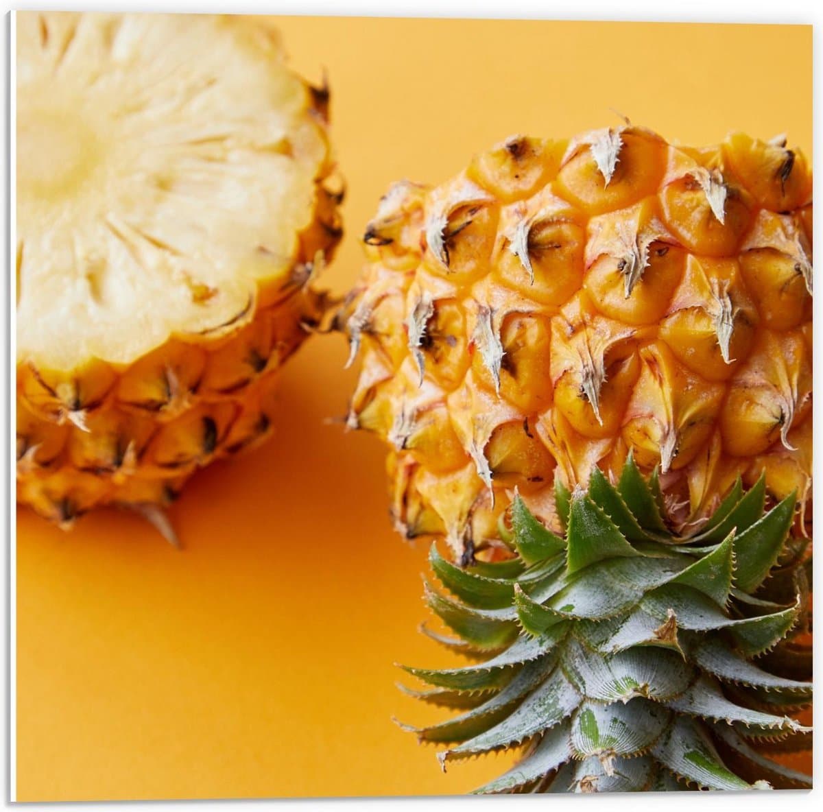 Forex - Verse Ananas - 50x50cm Foto op Forex