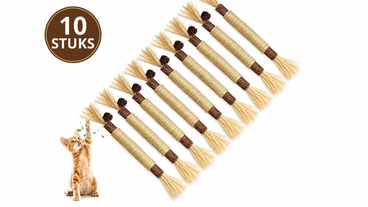 10 Stuks Stokjes Voor Katten - Kattenspeelgoed - Kauwstokjes - 23 cm lengte - Kattenspeeltje - Speelgoed met kattenkruid - Katten - Kattenspeelgoed - Stokvormig kattenspeelgoed - Kauwspeelgoed voor katten en kittens - Houtkleur