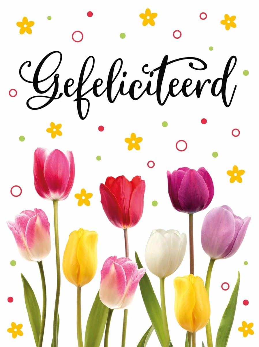 Wenskaart - A4 - Gefeliciteerd - Wit - Gekleurde Tulpen - 1 Stuk