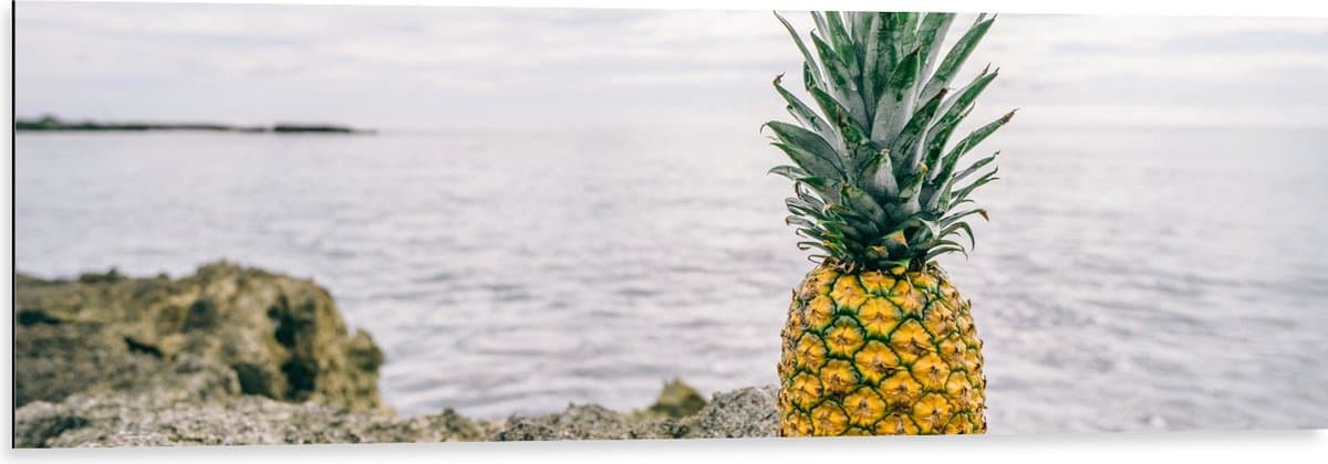 Dibond - Ananas - Rotsen - Zee - Golven - 120x40 cm Foto op Aluminium (Met Ophangsysteem)