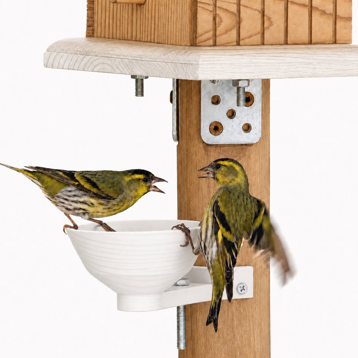 Vogel Drinkbak Voor Buiten - Vogelbad Voor Kleine Vogels - Waterbak Voor Vogelhuis En Tuin - Geschikt Voor Voederpaal 60MM - Duurzaam En Weerbestendig - 150ML - Wit