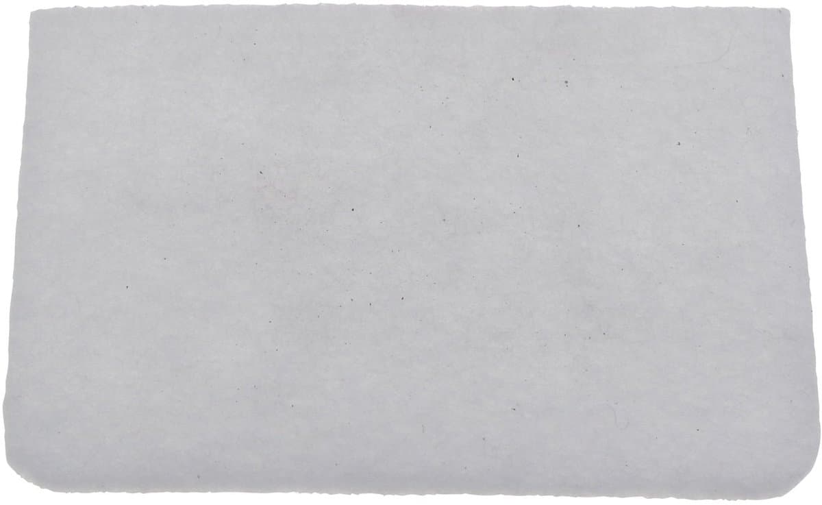 SEB - Schuim motorfilter 12X9X5MM - RSRT900736