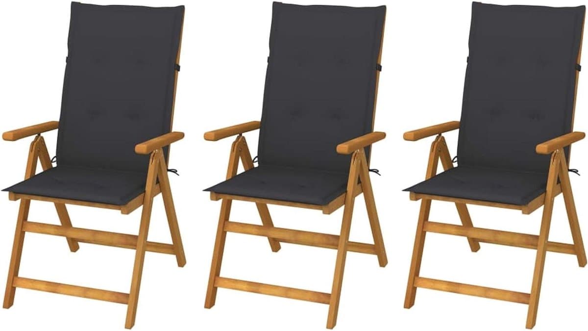 Tuinstoelen Set - Houten Stoelen - Buiten Zitten - Verstelbare Rugleuning - 3 Stuks - Antraciet