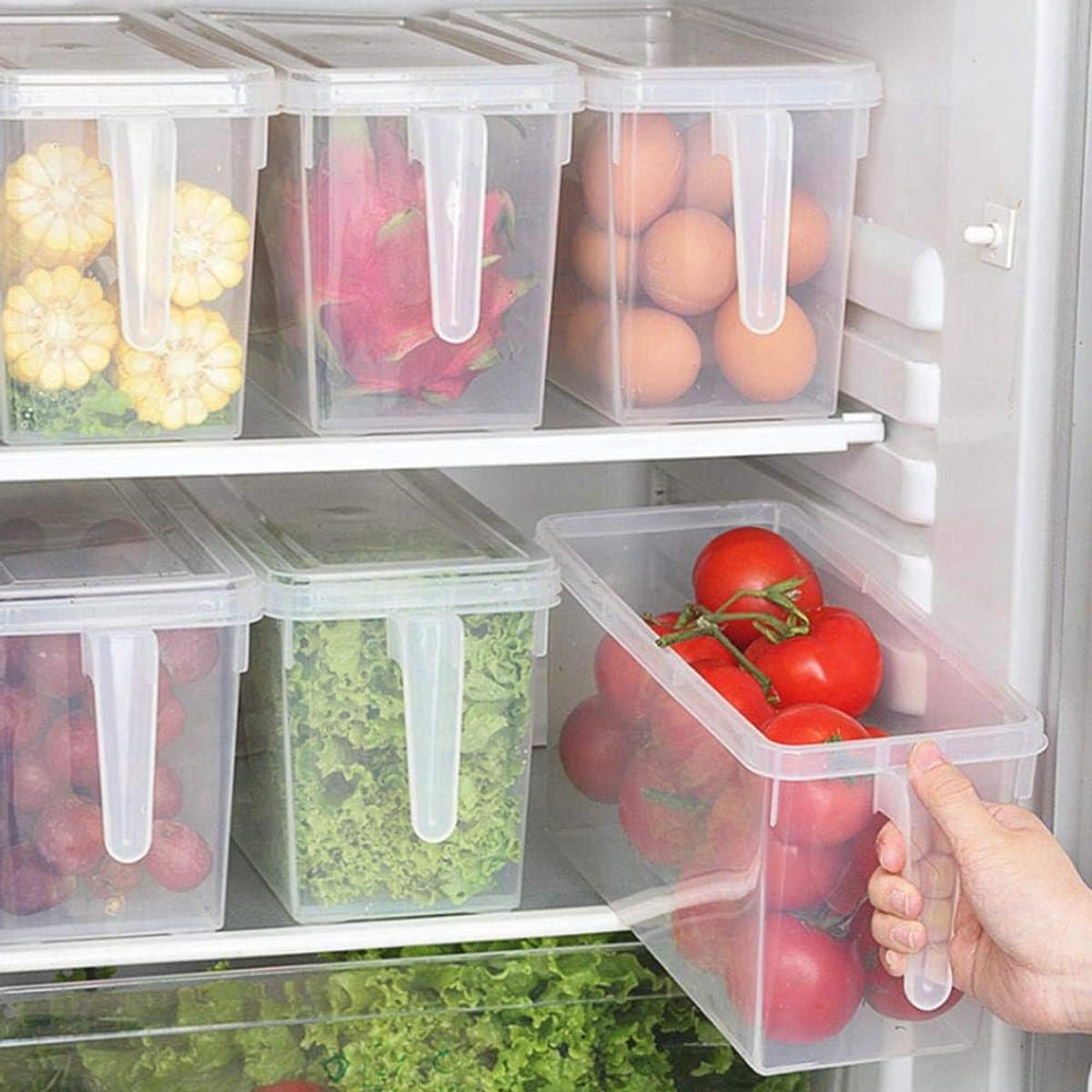COOAU Voedselopbergdozen met deksel voor thuis - Vriezerbestendig - 3 stuks,6L - Grote plastic keuken- en koelkast opbergcontainers - Stapelbaar - Met handgreep - Voor voedsel en fruit