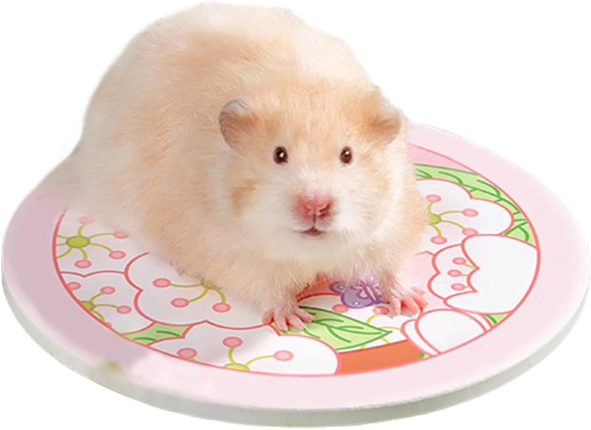 Hamster Verkoelingsmat - Keramische Rustmat - Huisdier Koelen - Antislip Stabiliteit - 16x16 cm - Roze