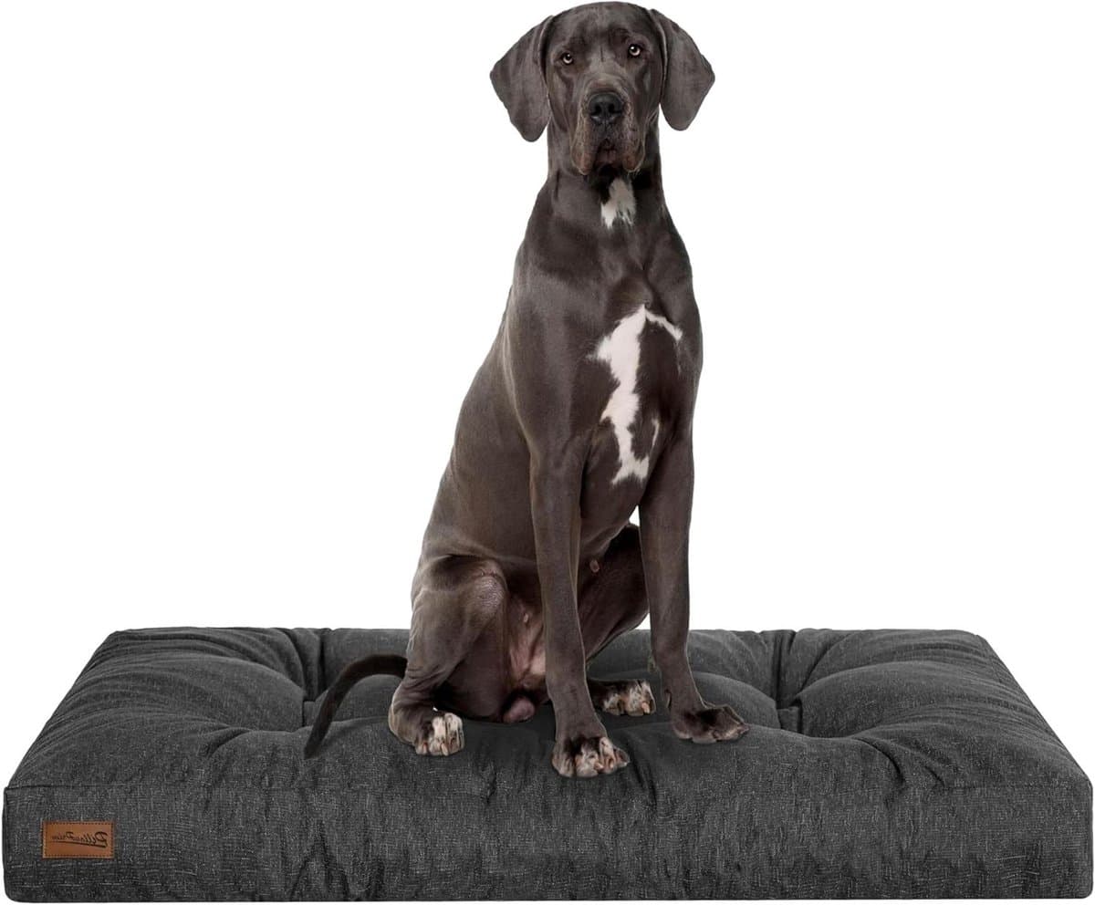 Rechthoekig Hondenbed XXL (130x100 cm) - Comfortabel Hondenmatras en Hondenkussen in Zwart