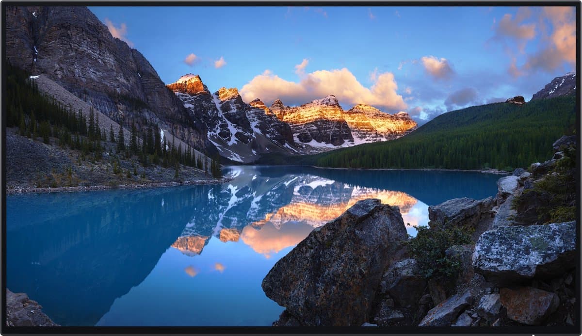 DELL UltraSharp U2424H_WOST computermonitor 60,5 cm (23.8") 1920 x 1080 pixels Full HD LCD zwart, zilver