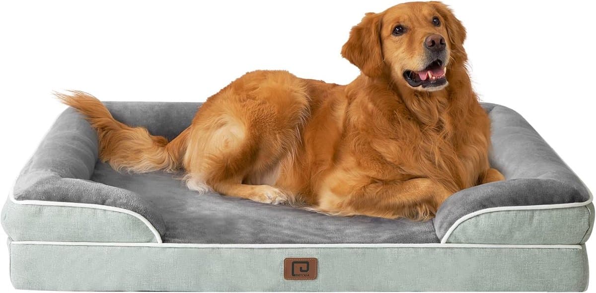 Orthopedisch Hondbed XL - Wasbare Memory Foam Hondenmand voor Grote Honden - Waterdicht en Antislip
