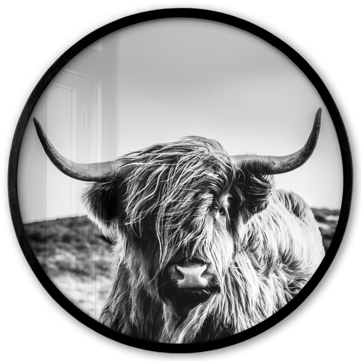 Poster in lijst Rond - Fotolijst 40x40 cm - Posters - Koe - Schotse hooglander - Zwart - Wit - Dier - Natuur - Wild - Ronde posterlijst zwart - Decoratie - Wanddecoratie woonkamer - Muurdecoratie slaapkamer