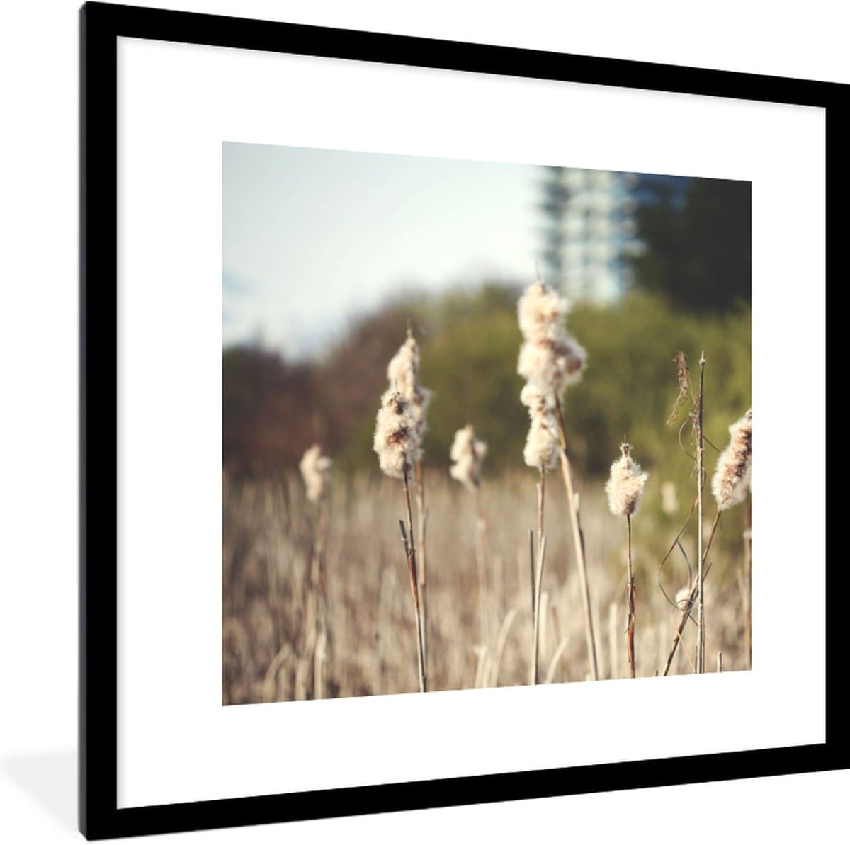 Poster in lijst - Fotolijst 40x40 cm - Posters - Katoen - Zon - Planten - Posterlijst zwart - Decoratie - Wanddecoratie woonkamer - Muurdecoratie slaapkamer