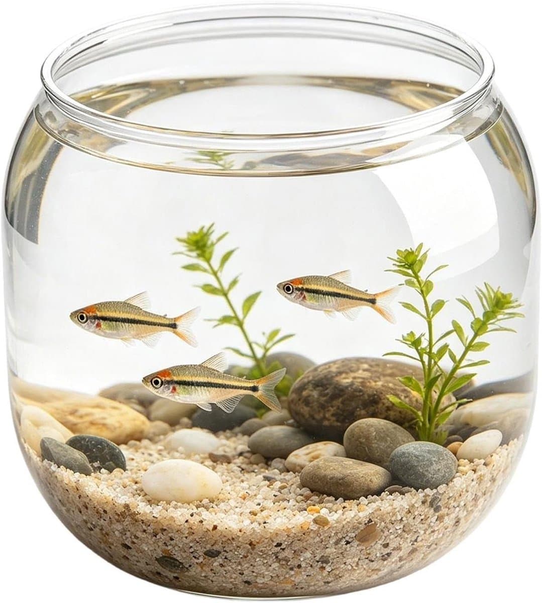 Vissenkom - Garnalenkom Aquarium - Decoratief Huisdier - Kantelveilig Ontwerp - 15.5x14.9cm - Helder