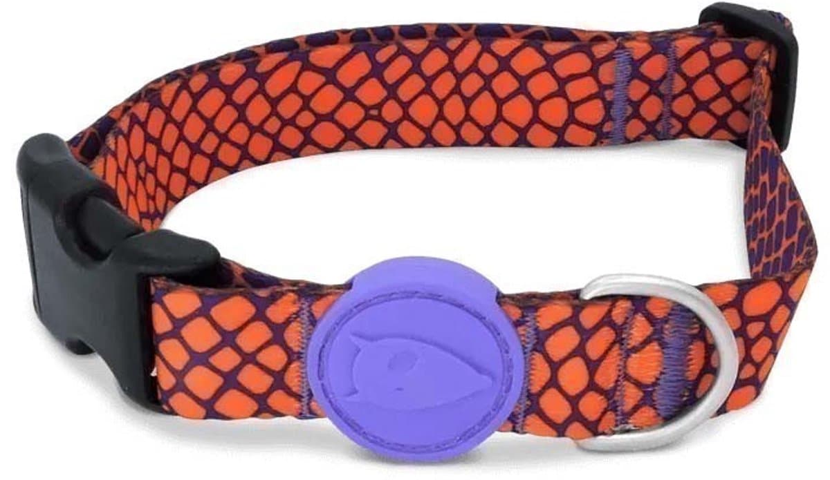 Morso - Halsband Hond Gerecycled Urban Lizard Rood