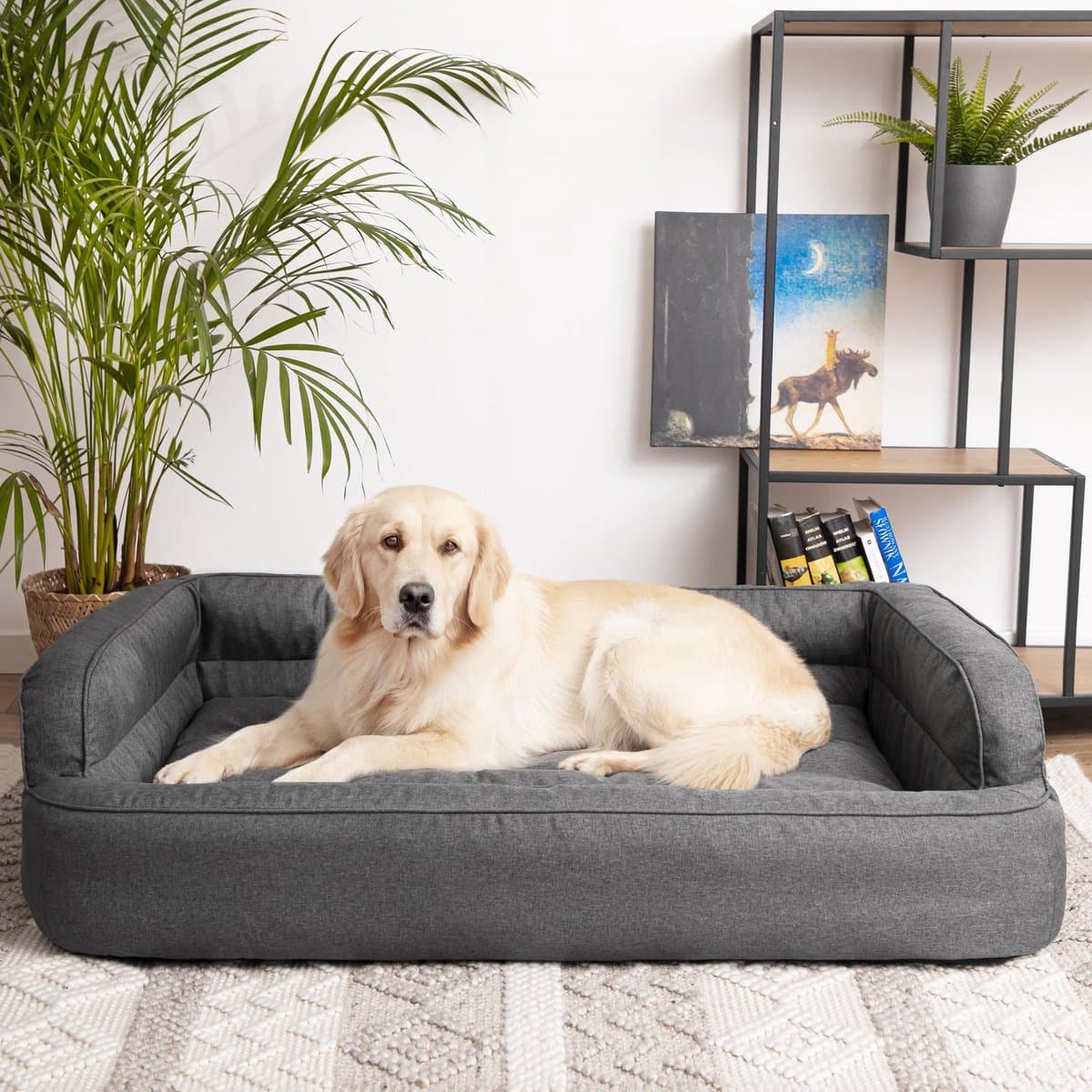 PillowPrim Hondenbed, Huisdiermeubel, Kattenbed, Afneembare Hoes, Hondenmand, Hondenkussen, Hondenligstoel, Slaapplaatsen, Hondensofa, Grafiet, L: 78x47 cm
