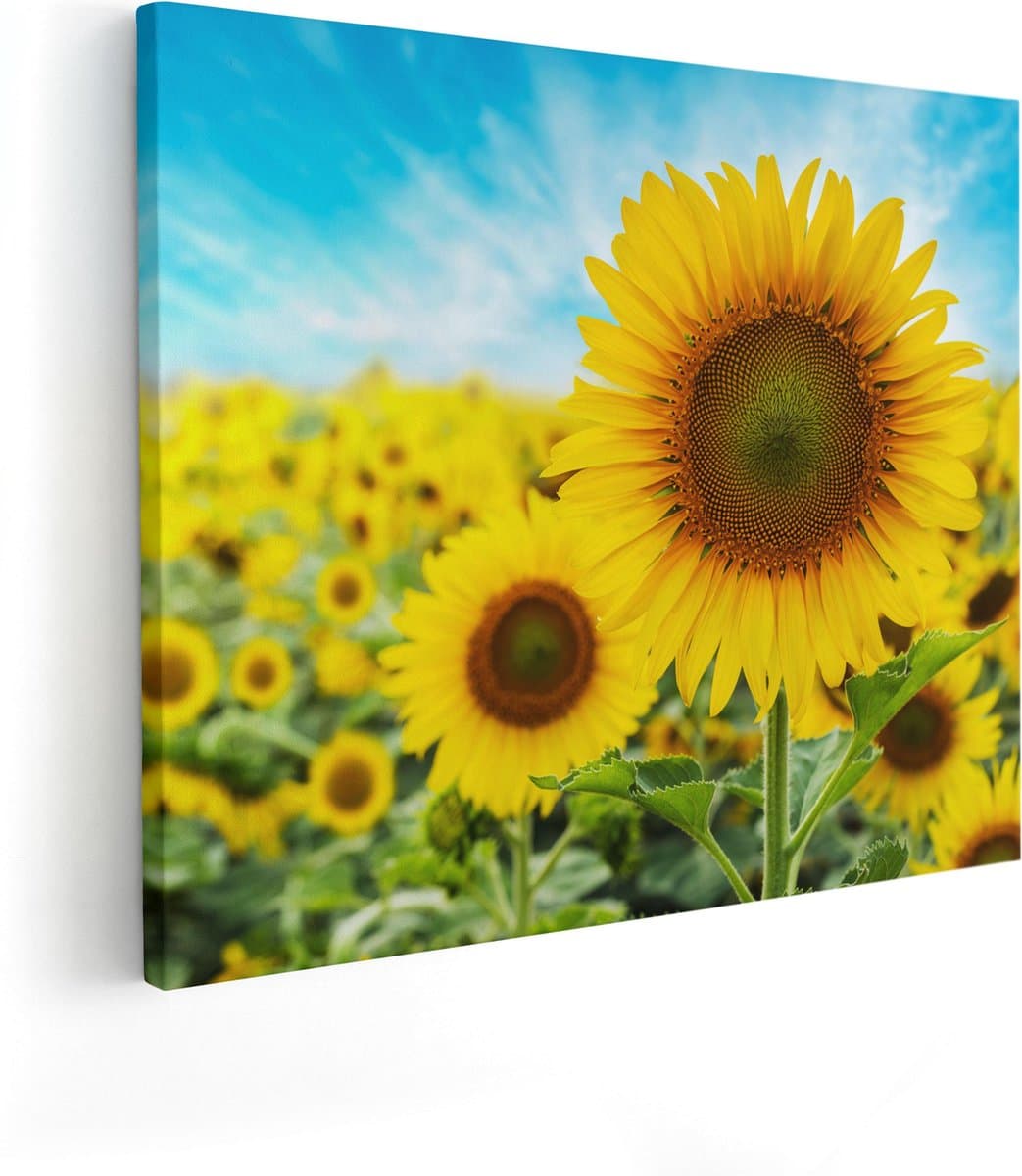 Artaza Canvas Schilderij Zonnebloemen Veld - 100x80 - Groot - Foto Op Canvas - Canvas Print