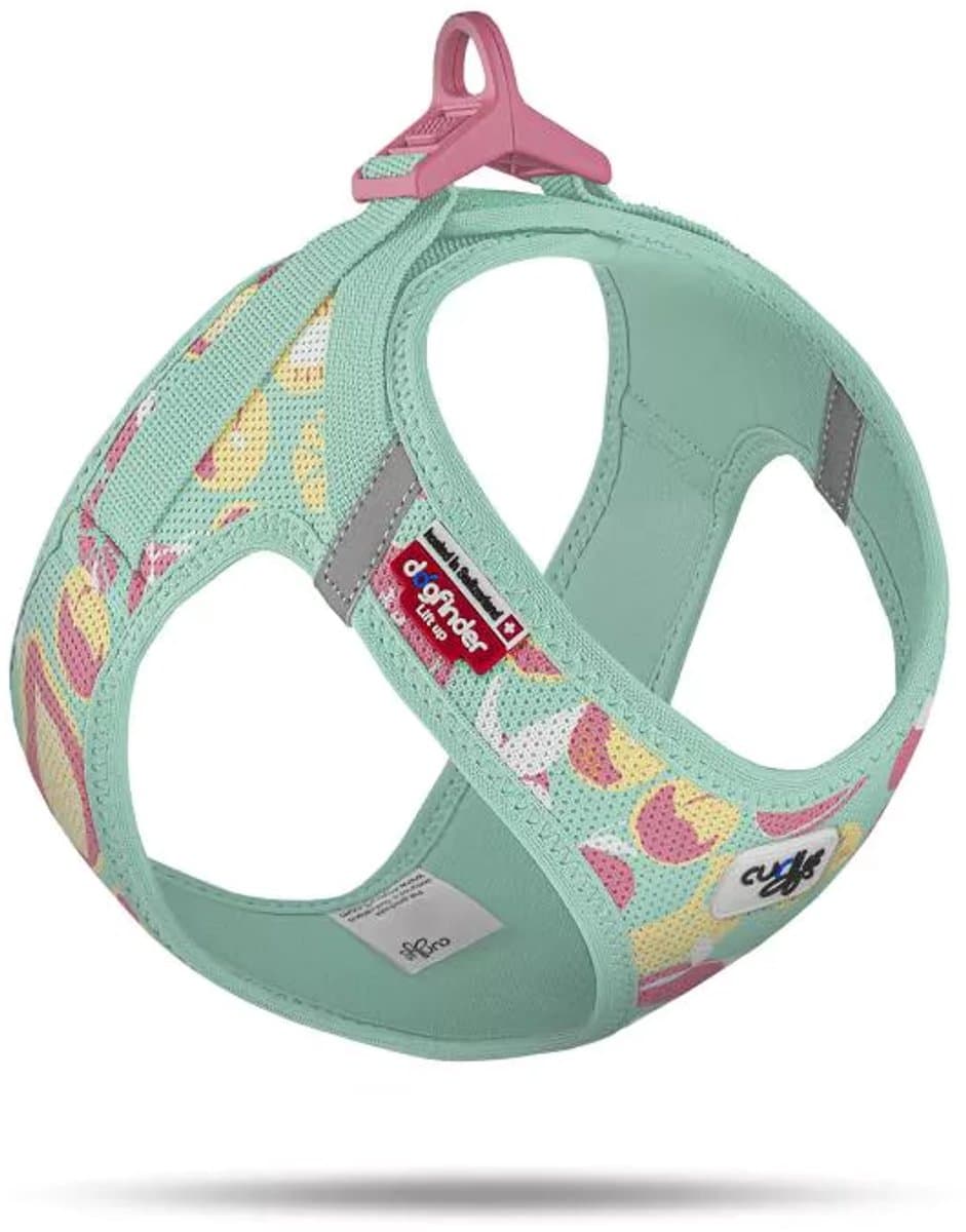 Curli Hondentuig Clasp Vest Harness Juicy Fruits Turquoise LE26 Maat M 43-49 cm