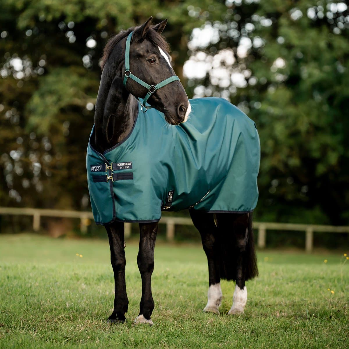 Amigo Ripstop 900D Pony Turnout 100g Dynasty Groen/Marineblauw & Zilver 115