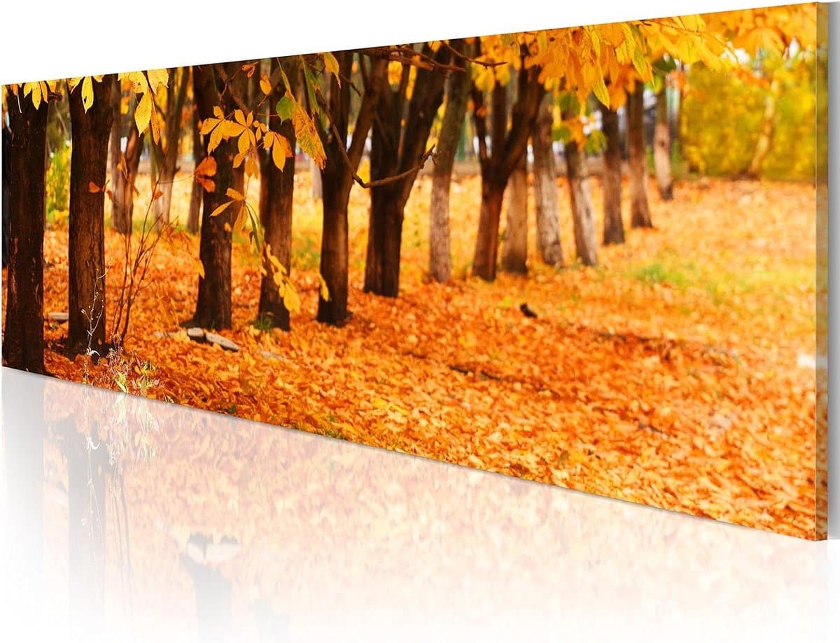 Akoestisch Schilderij - Geluidsabsorberend Wandpaneel - Ruimte Verbeteren - Canvas op Houten Frame - 135x45 cm - Herfstkleuren