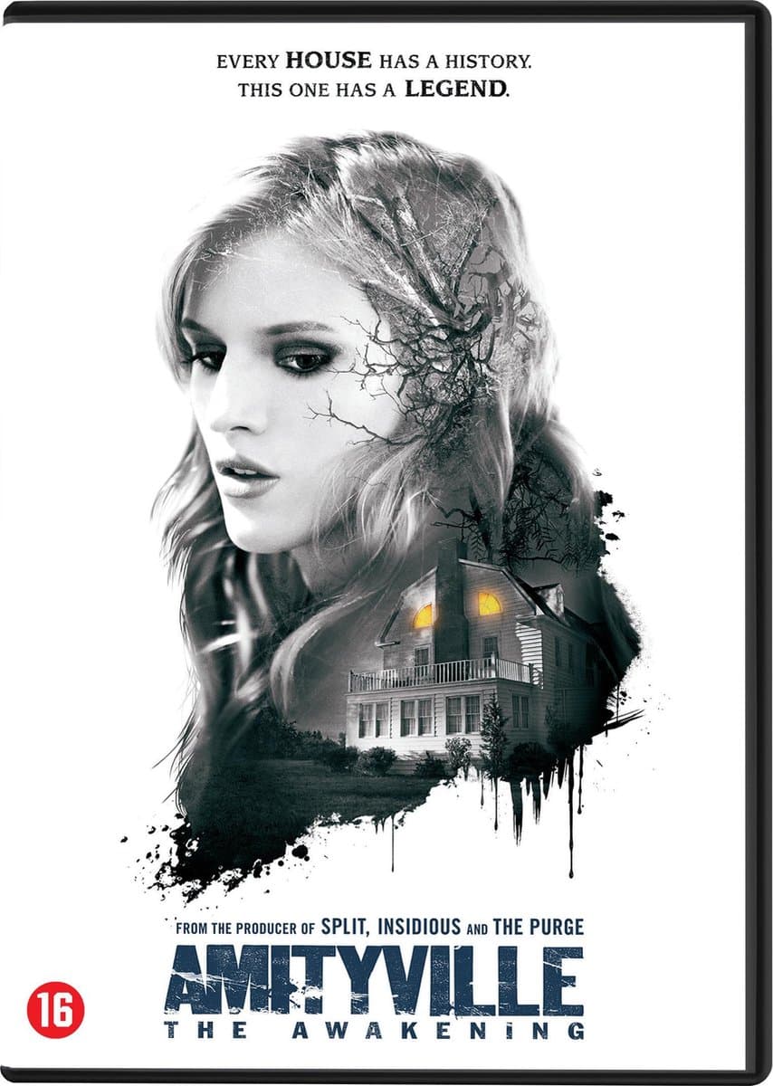 Amityville: The Awakening