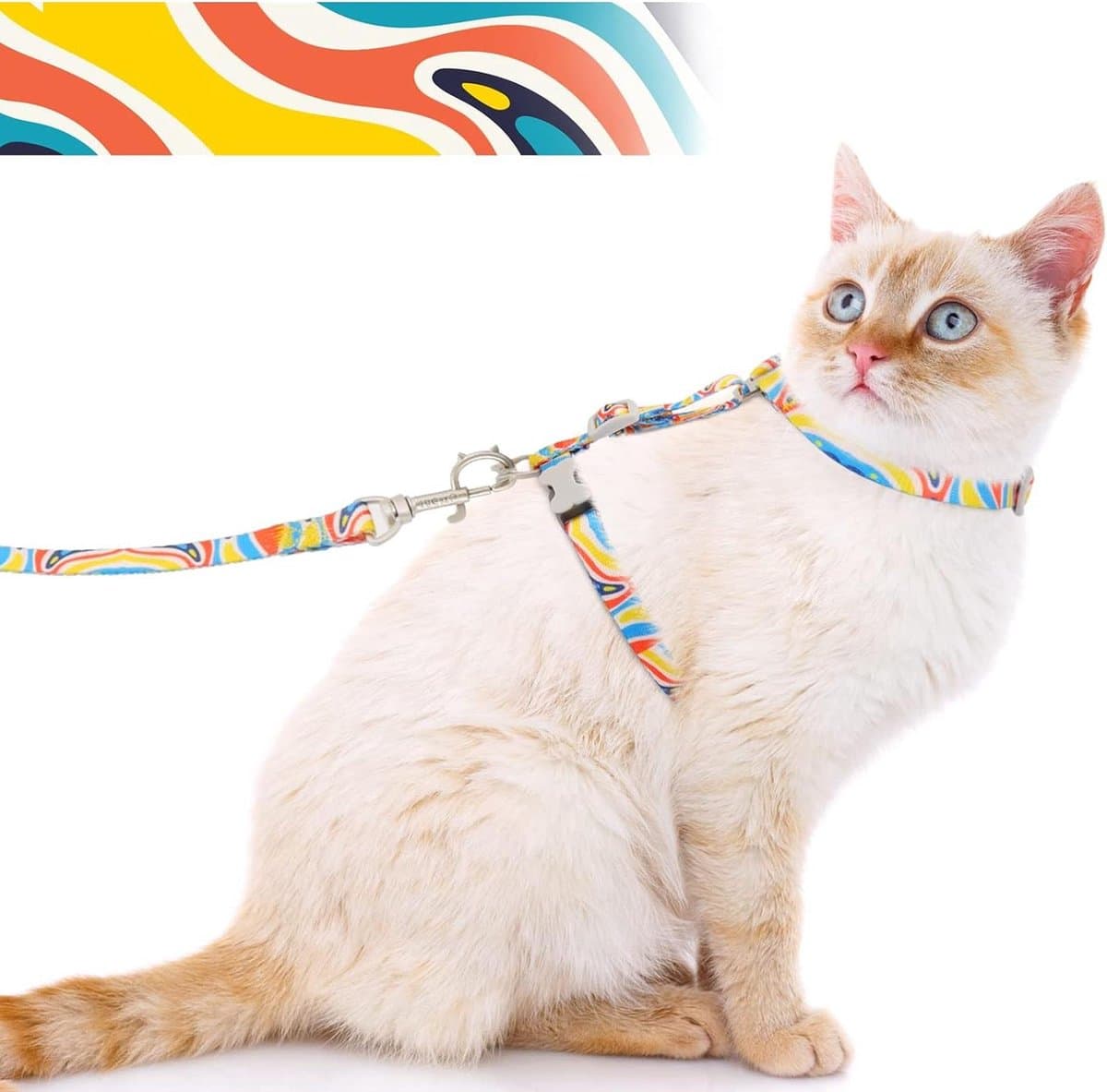 Onbreekbaar verstelbaar kattenharnas voor grote en kleine katten - licht kittenharnas - zachte regenboog S