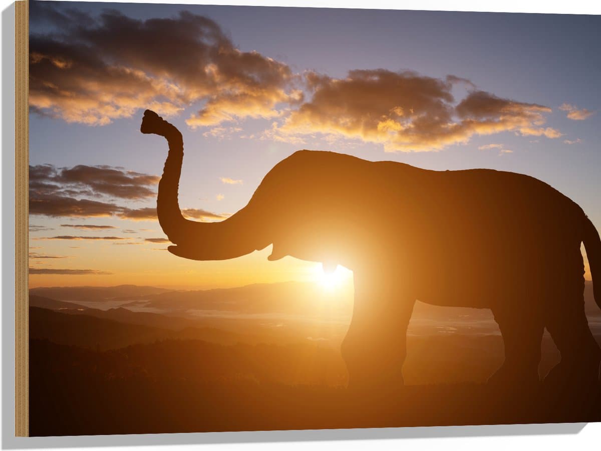 Hout - Zonnestralen achter Olifant omringd door Wolken - 80x60 cm - 9 mm dik - Foto op Hout (Met Ophangsysteem)