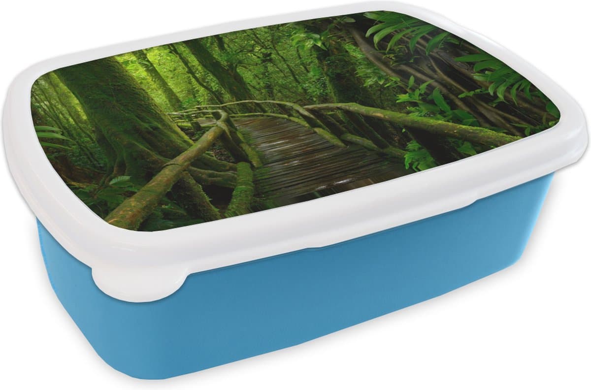 Broodtrommel Blauw - Lunchbox - Brooddoos - Jungle - Brug - Mos - Natuur - Tropisch - 18x12x6 cm - Kinderen - Jongen