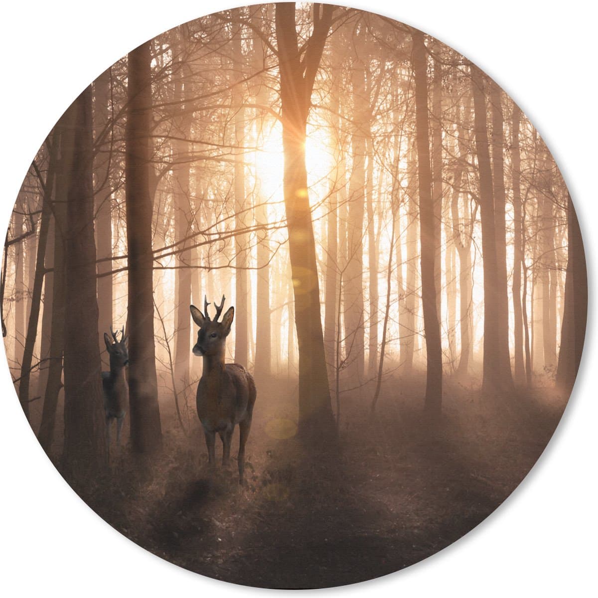 Muismat rond 20x20 cm - Mousepad Bos - Hert - Zon - Bomen - Winter - Natuur - Dieren - Ronde muismatten