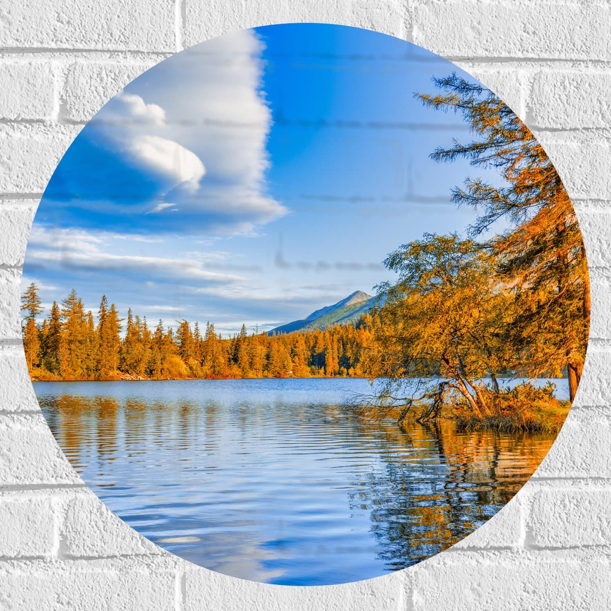 Muursticker Cirkel - Oranjekleurige Bomen langs Rand van Meer - 60x60 cm Foto op Muursticker