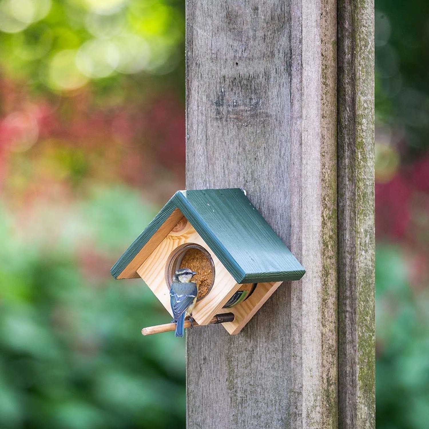 CJ Wildlife Pindakaaspothouder voor Vogels - Cork - Vogelpindakaas Houder met Gewichtssysteem - Vogelvoederhuisje Pindakaas - Wandmodel - Bruin/Groen