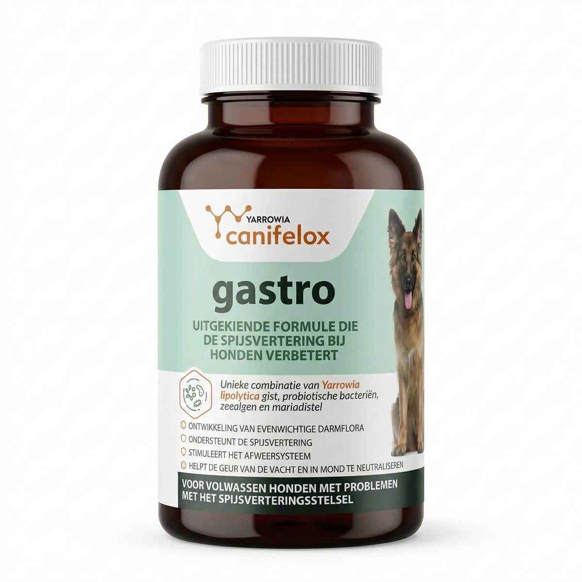 Canifelox Gastro 240g – Spijsvertering & Darmflora Supplement voor Honden – Met Probiotica, Zeealgen & Mariadistel – Ondersteunt Maag en Darmen