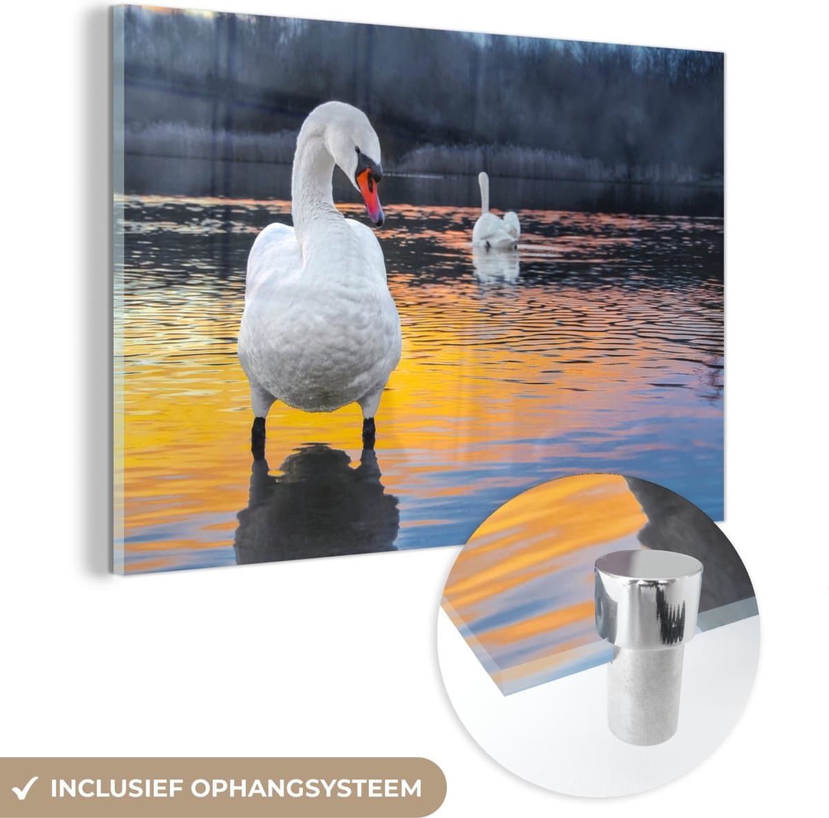 MuchoWow - Glasschilderij - Zwaan - Vogel - Zonsondergang - Water - Acrylglas - Foto op glas - 30x20 cm - Muurdecoratie - Glasschilderij vogels - Glasschilderij dieren