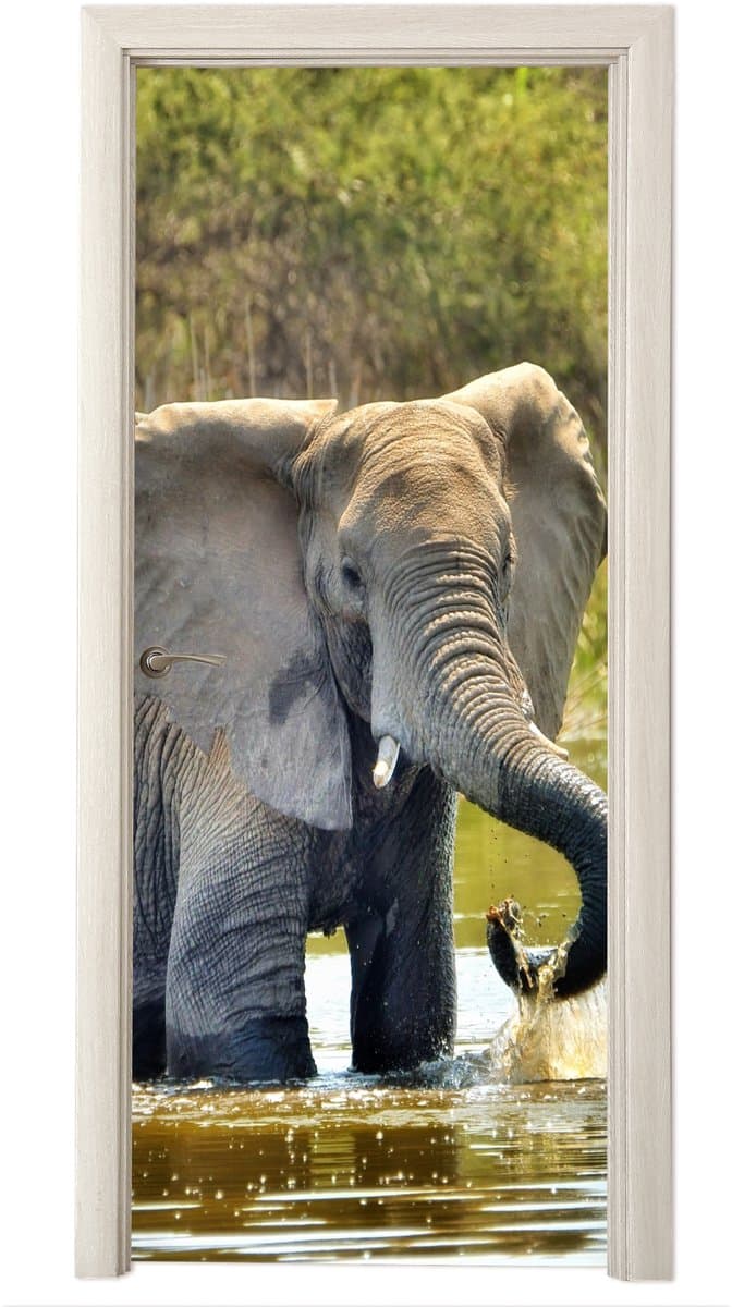 Deurposter 80x215 cm - Deursticker Olifant - Water - Dieren - Natuur - Meubelfolie zelfklevend - Deurfolie woonkamer - Interieurfolie fotobehang - Deur plakfolie - Deurstickers - Deurbehang sticker - Kamer decoratie