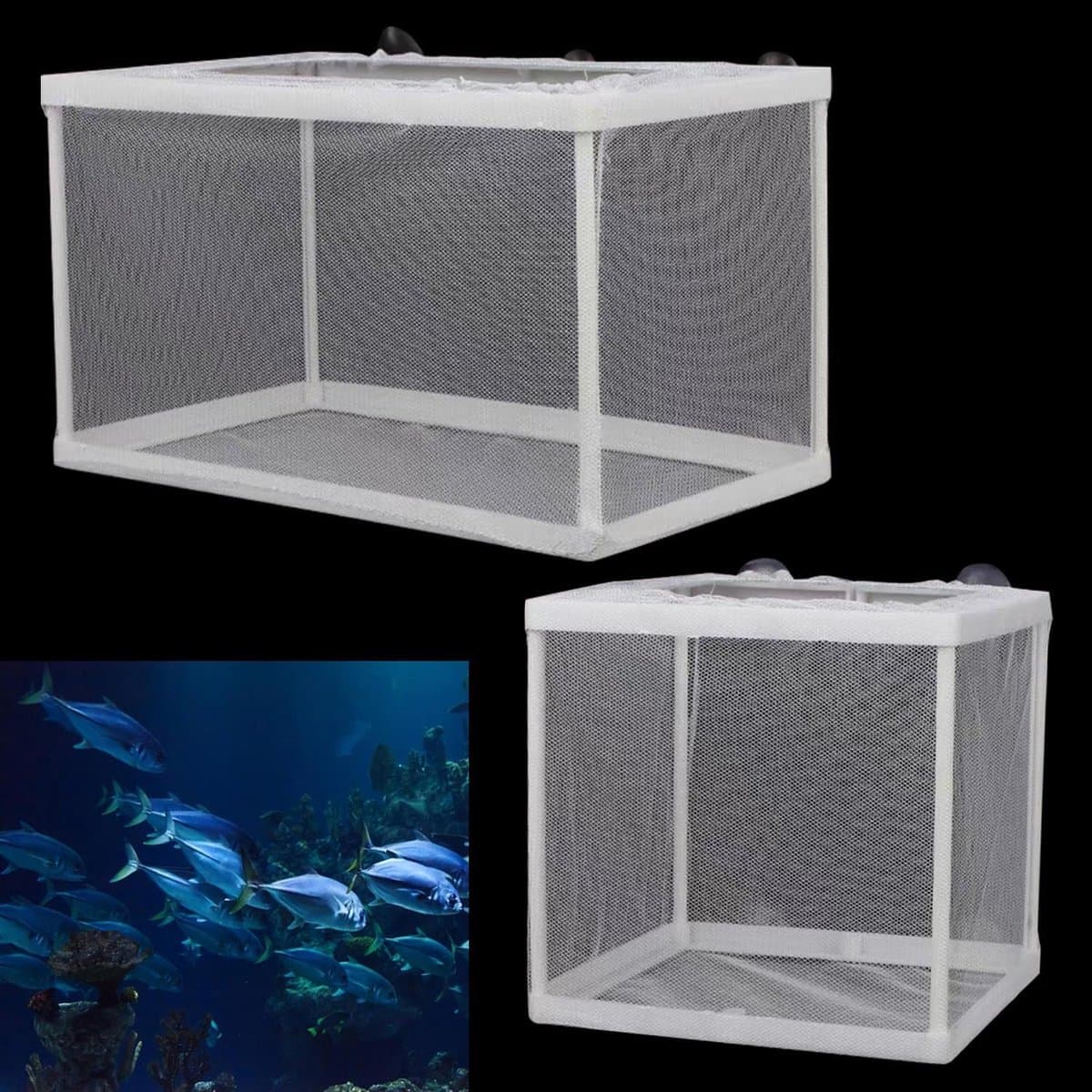 Kweekbakken met zuignap, set van 2 voor aquarium en incubatie