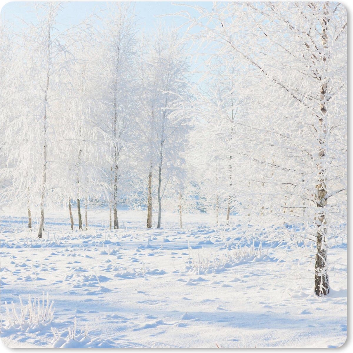 Muismat 20x20 cm - Mousepad Sneeuw - Bomen - Winter - Muismatten