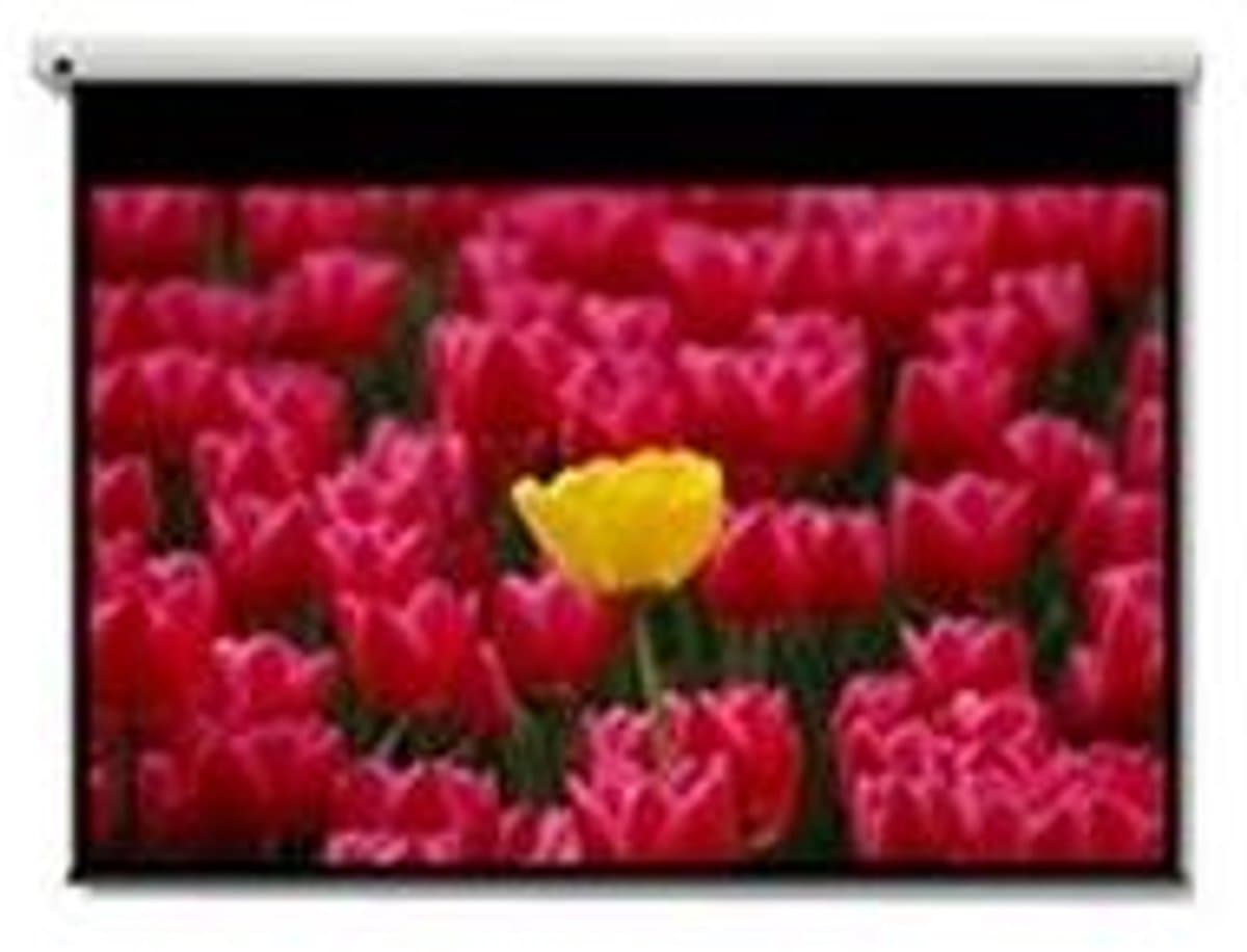 Optoma Panoview DE-9120EGA - Projectiescherm - gemotoriseerd - 120 inch (305 cm) - 16:9 - Matte White