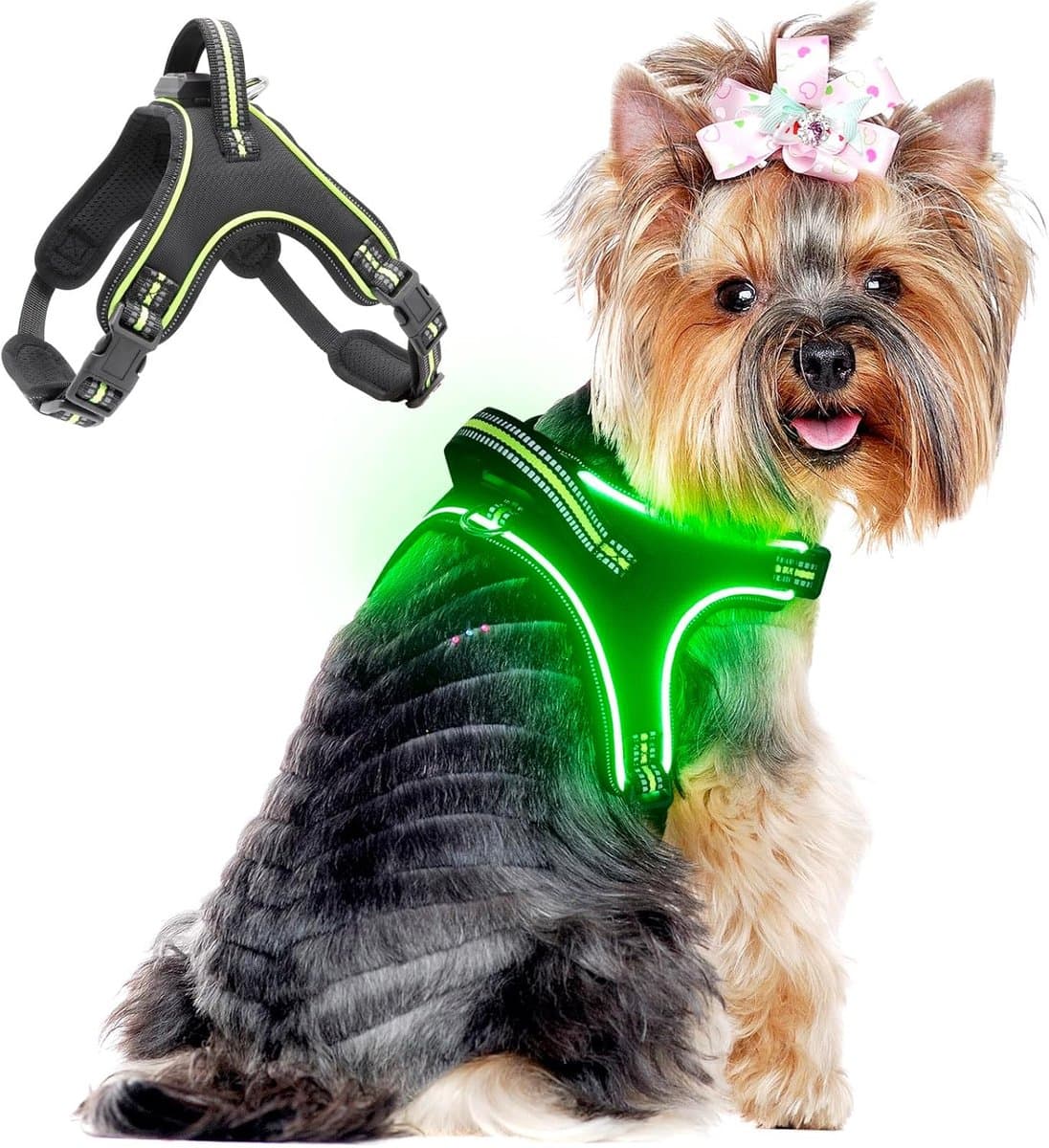 Hondenharnas Verlichting - Veiligheidsharnas Hond - Nachtelijke Wandelingen - Oplaadbaar LED - Maat S - Groen