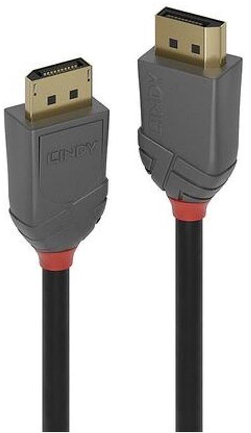Lindy Anthra Line - DisplayPort kabel - DisplayPort (M) naar DisplayPort (M) - DisplayPort 1.4 - 2 m - rond - zwart